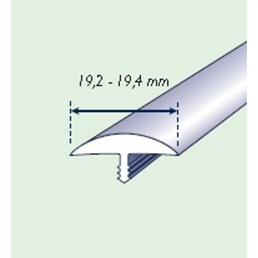 TD19